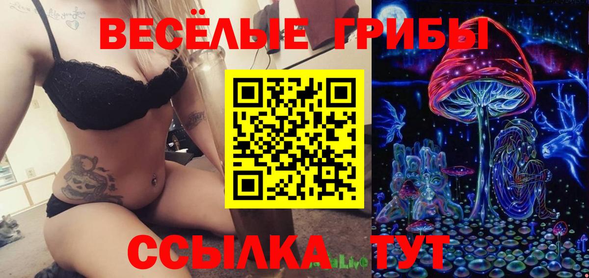 Галлюциногенные грибы MAGIC MUSHROOMS  Вход с VPN  Галлюциногенные грибы Psilocybine cubensis  Новокуйбышевск 